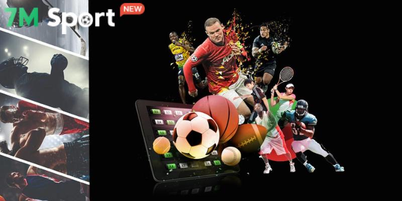 Review Fo88 - Nhà Cái Thể Thao Uy Tín Hàng Đầu Thị Trường 8 Cung cấp đa dạng sản phẩm thể thao hấp dẫn